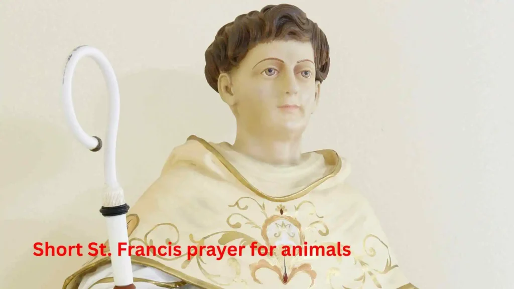 Short St. Francis prayer for animals