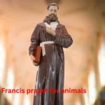 Short St. Francis prayer for animals