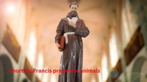 Short St. Francis prayer for animals