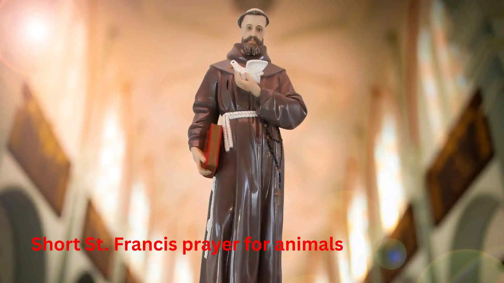 Short St. Francis prayer for animals