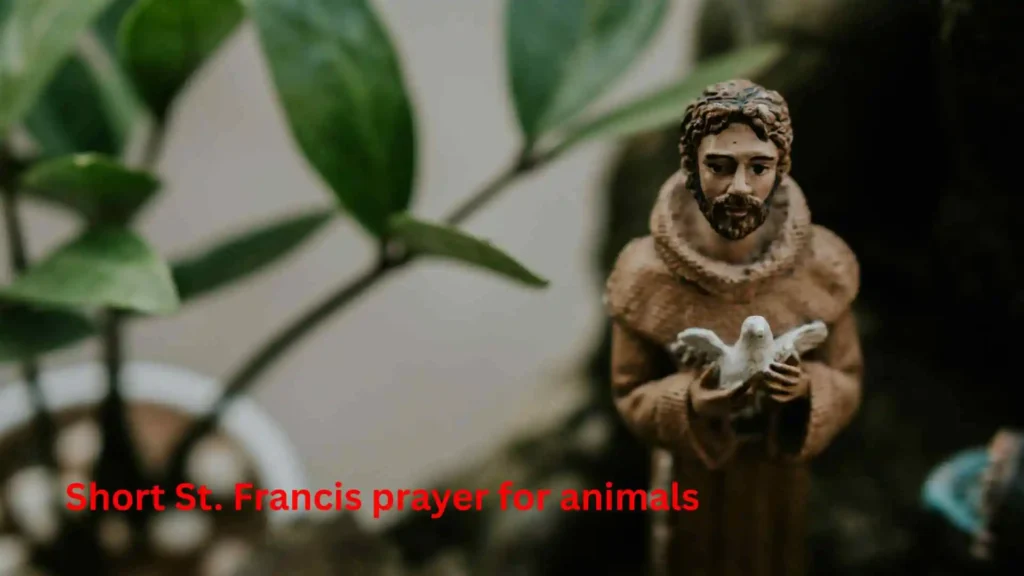 Short St. Francis prayer for animals