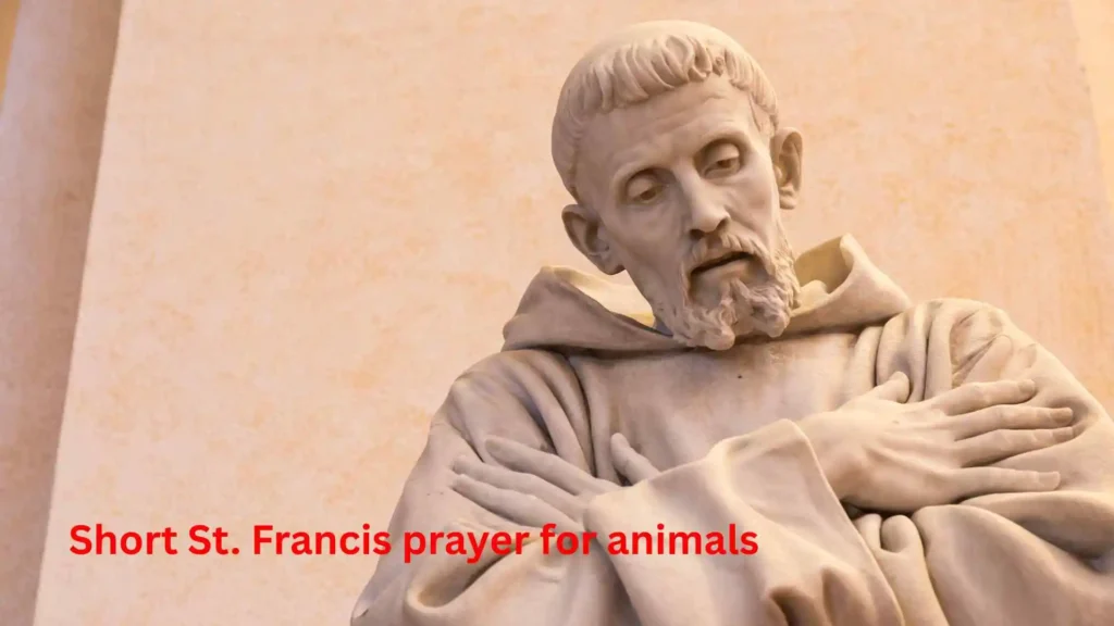 Short St. Francis prayer for animals