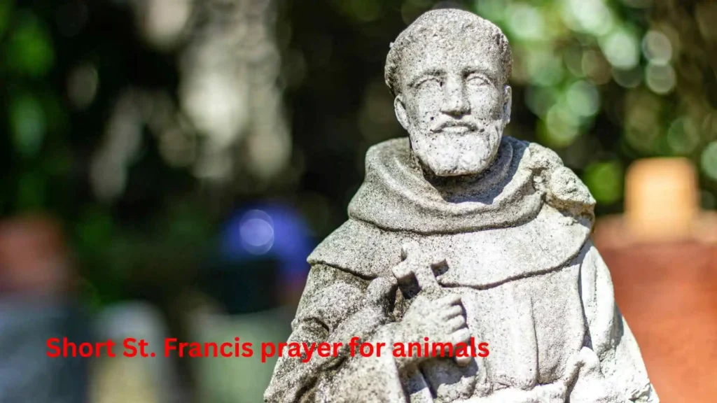 Short St. Francis prayer for animals