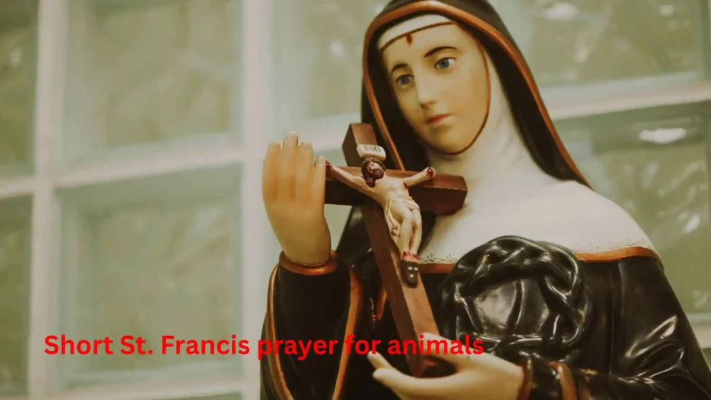 Short St. Francis prayer for animals