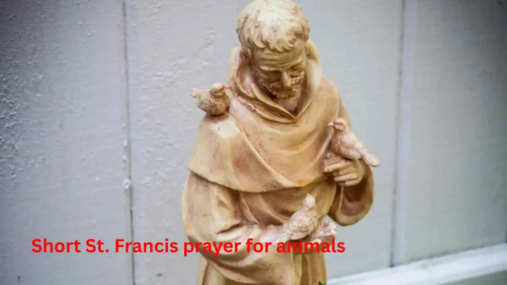 Short St. Francis prayer for animals