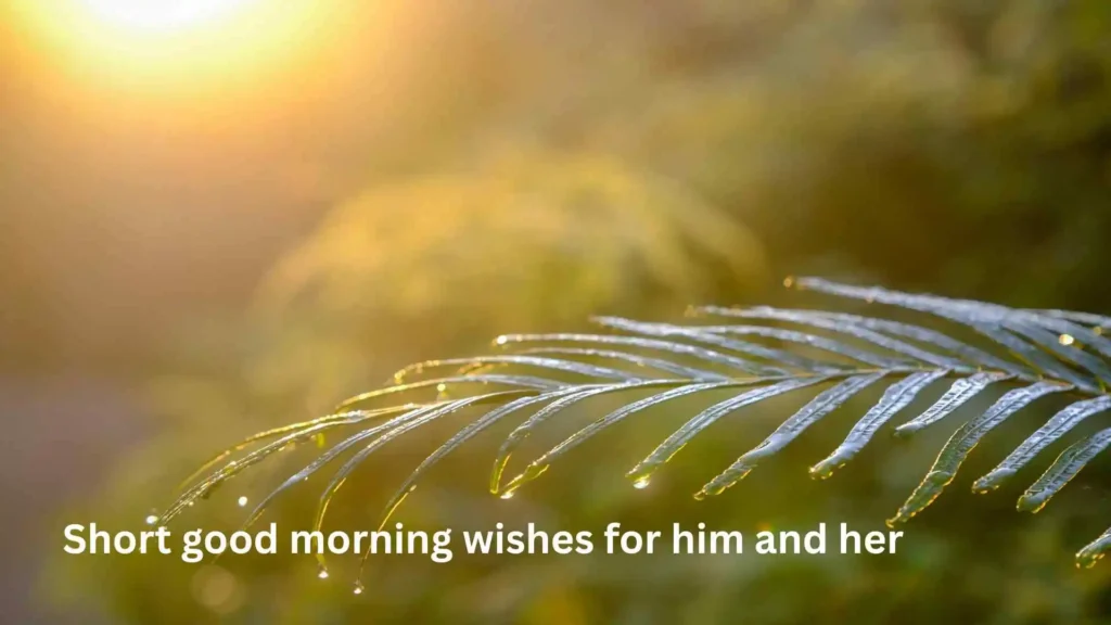 Short good morning wishes for him and her