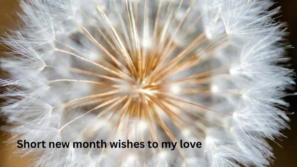 Short new month wishes to my love