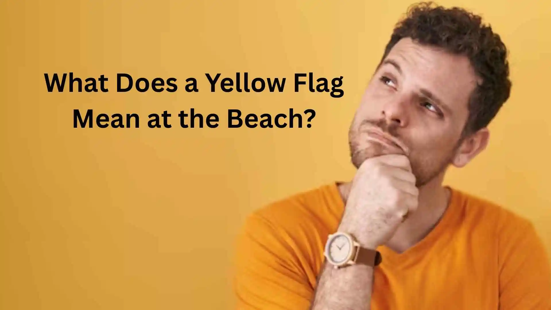 what does a yellow flag mean at the beach