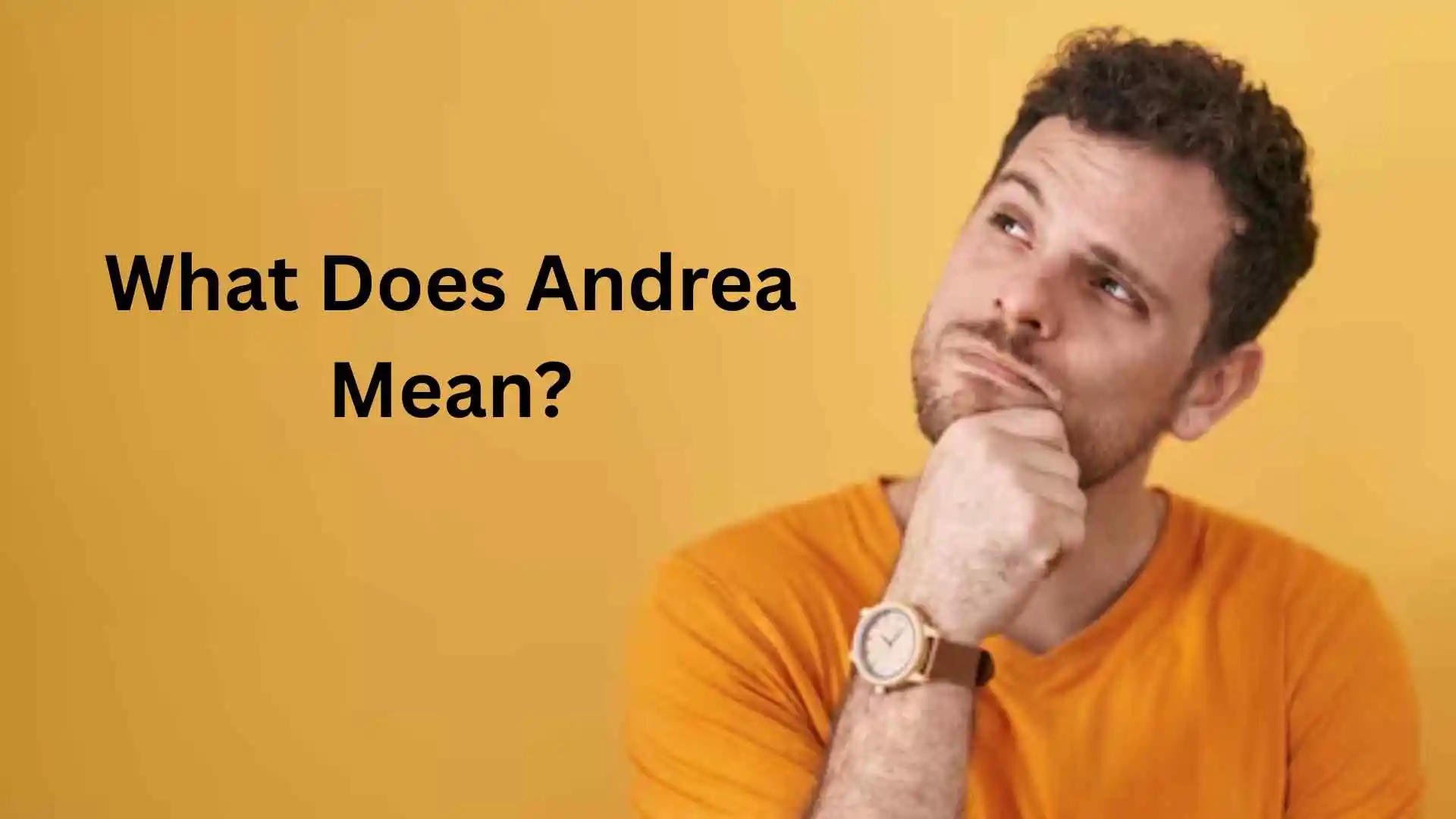 what does andrea mean