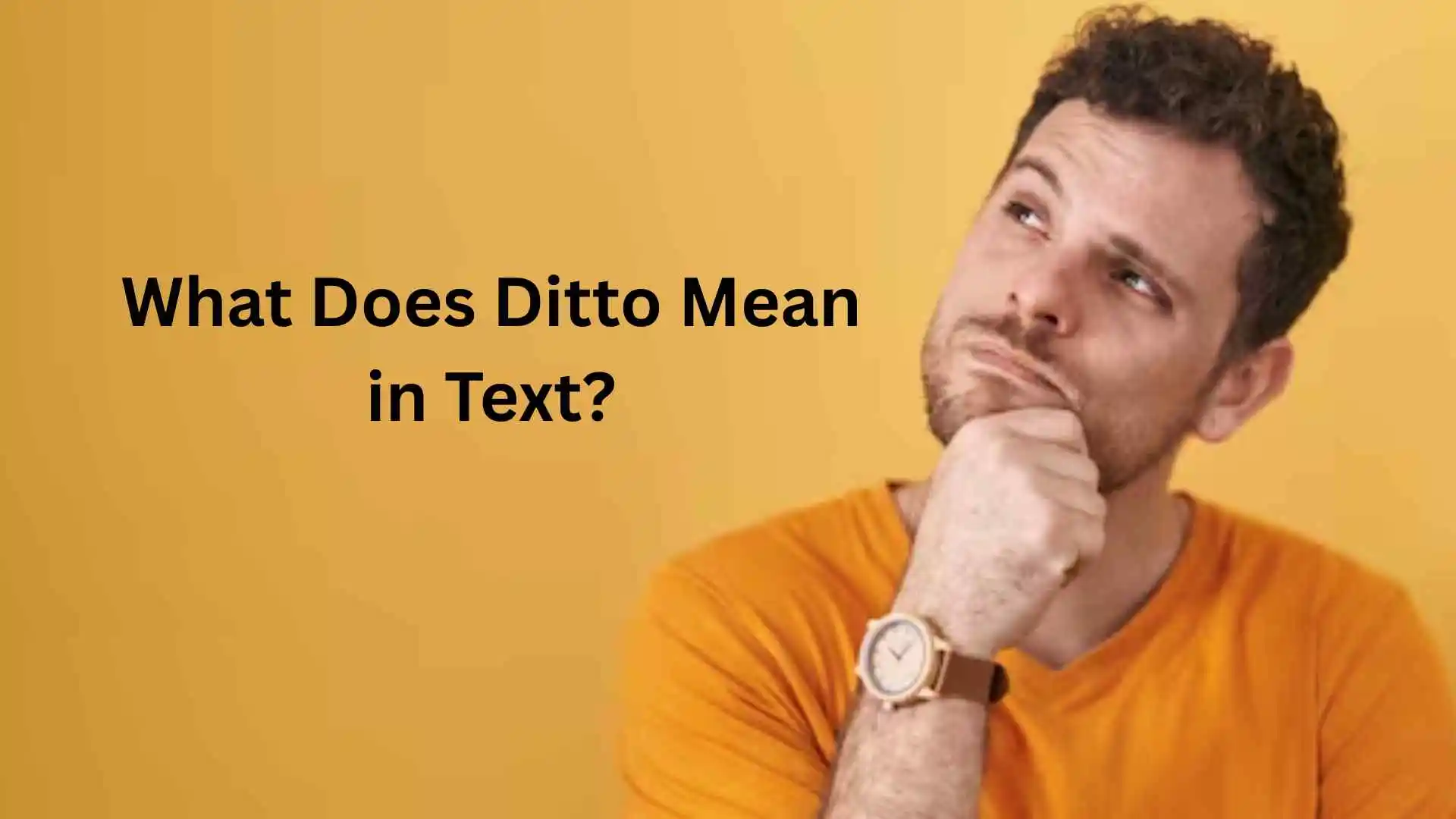 what does ditto mean in text