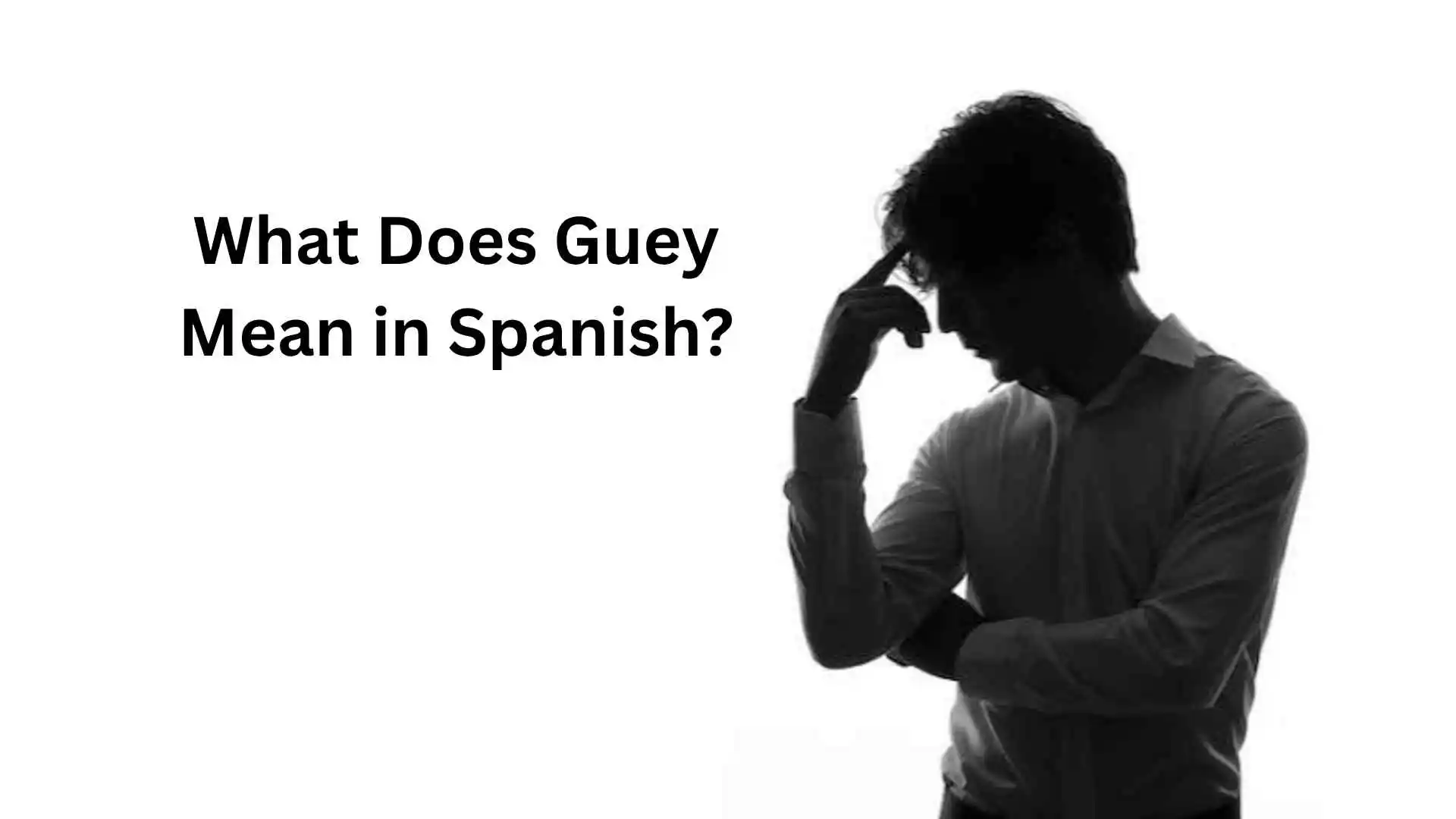 what does guey mean in spanish