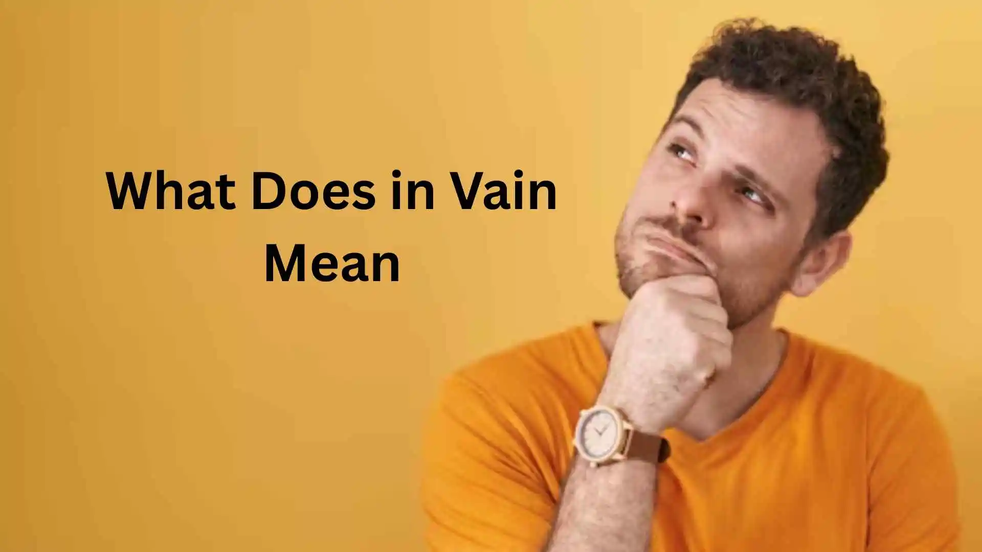 what does in vain mean