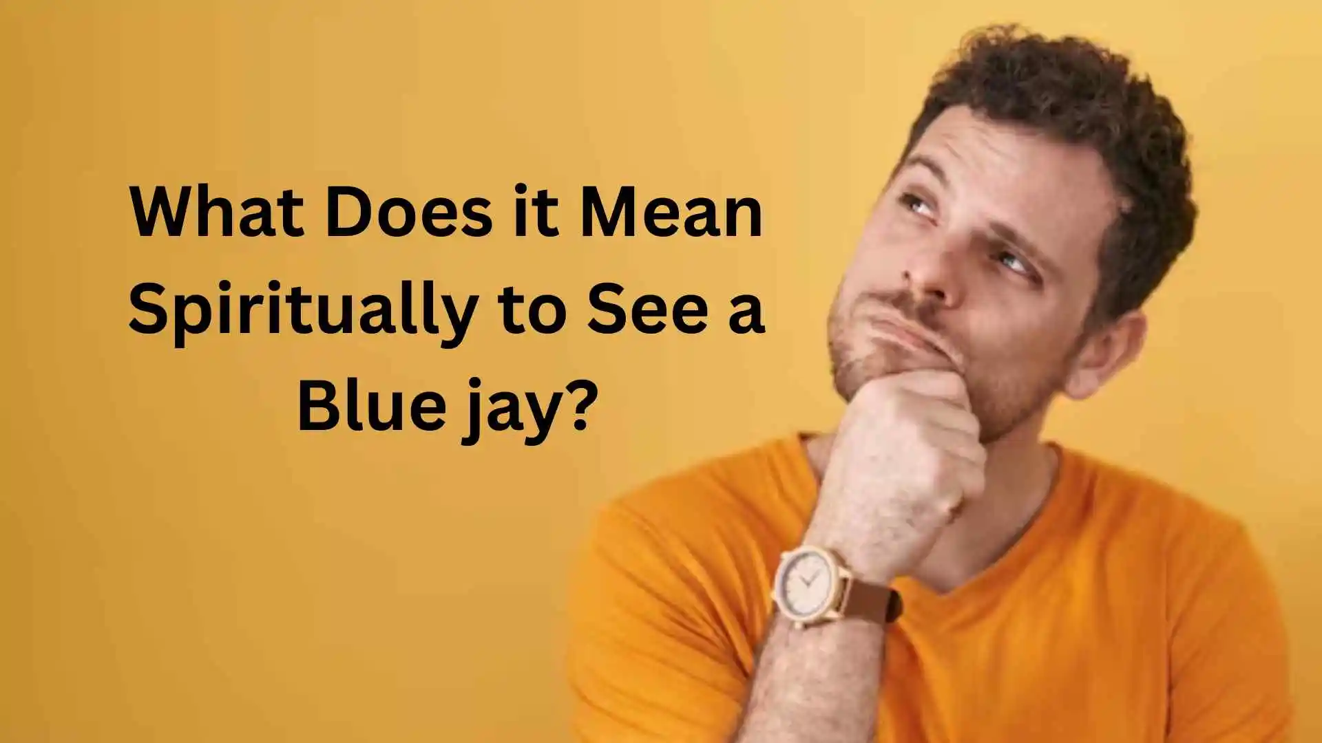what does it mean spiritually to see a blue jay