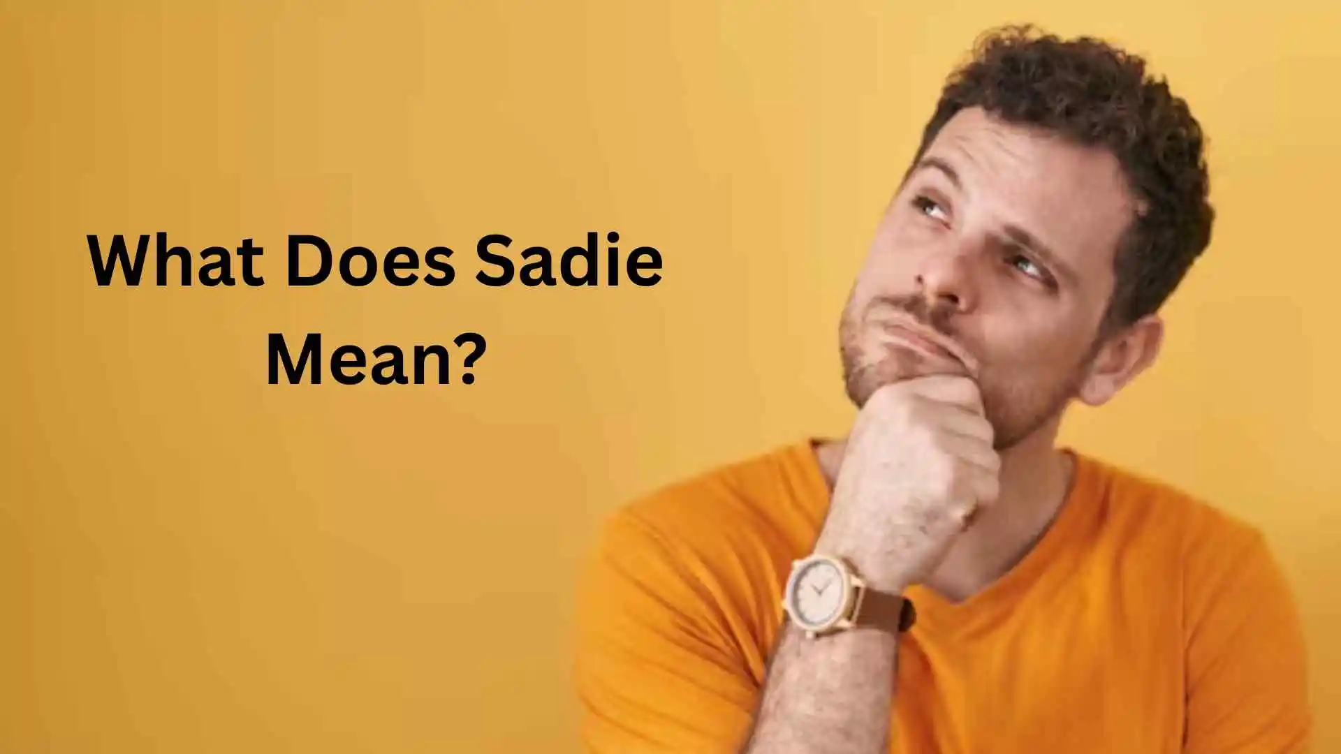 what does sadie mean
