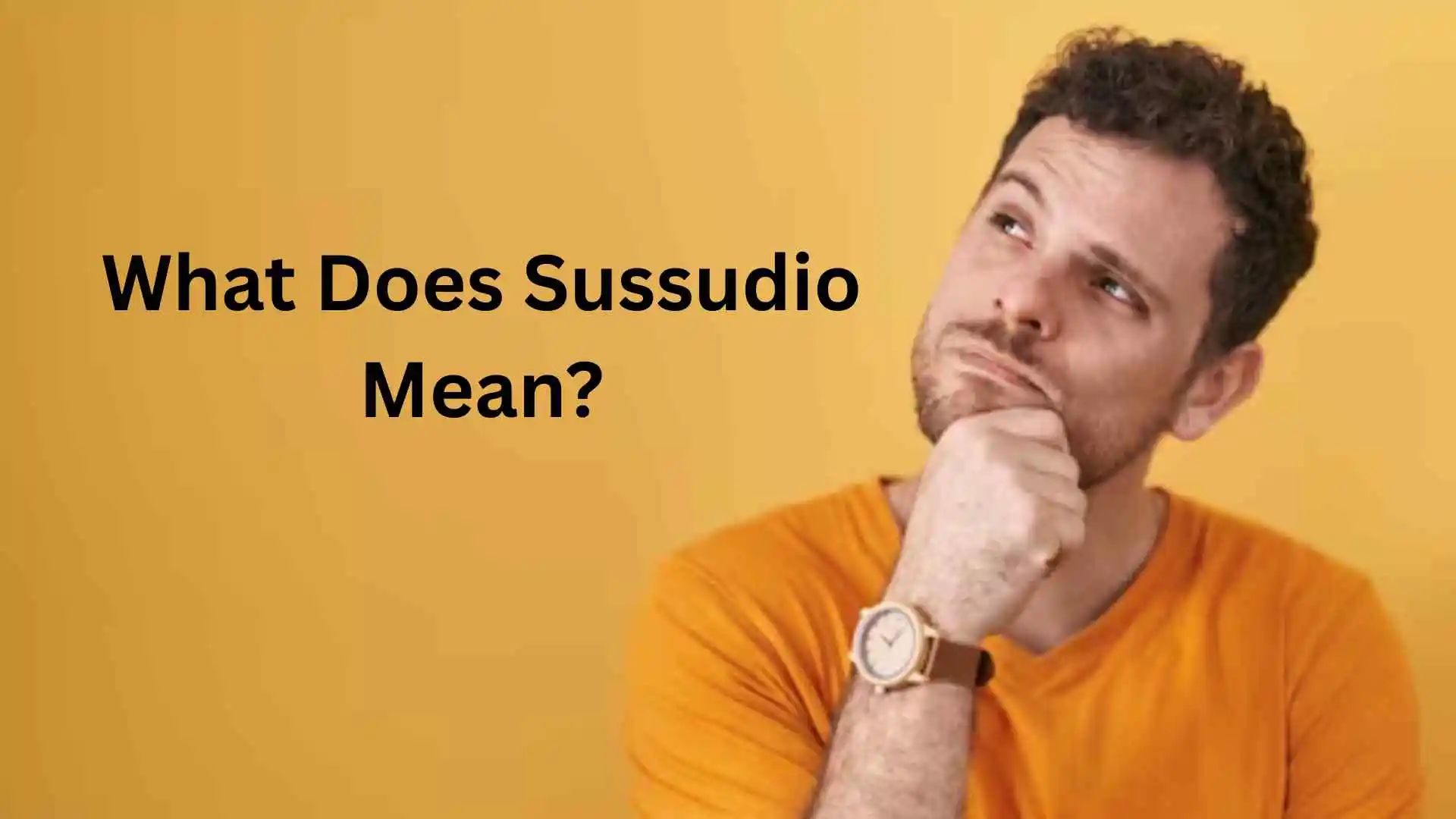 what does sussudio mean