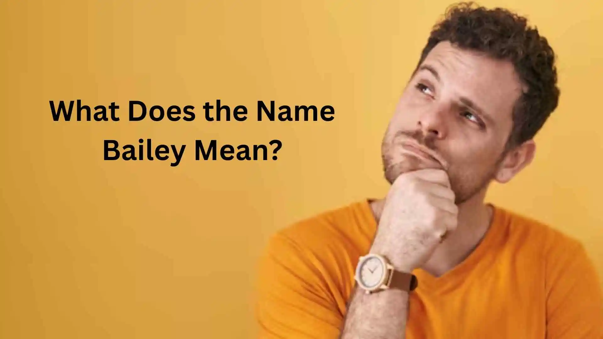what does the name bailey mean