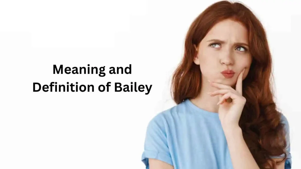 what does the name bailey mean