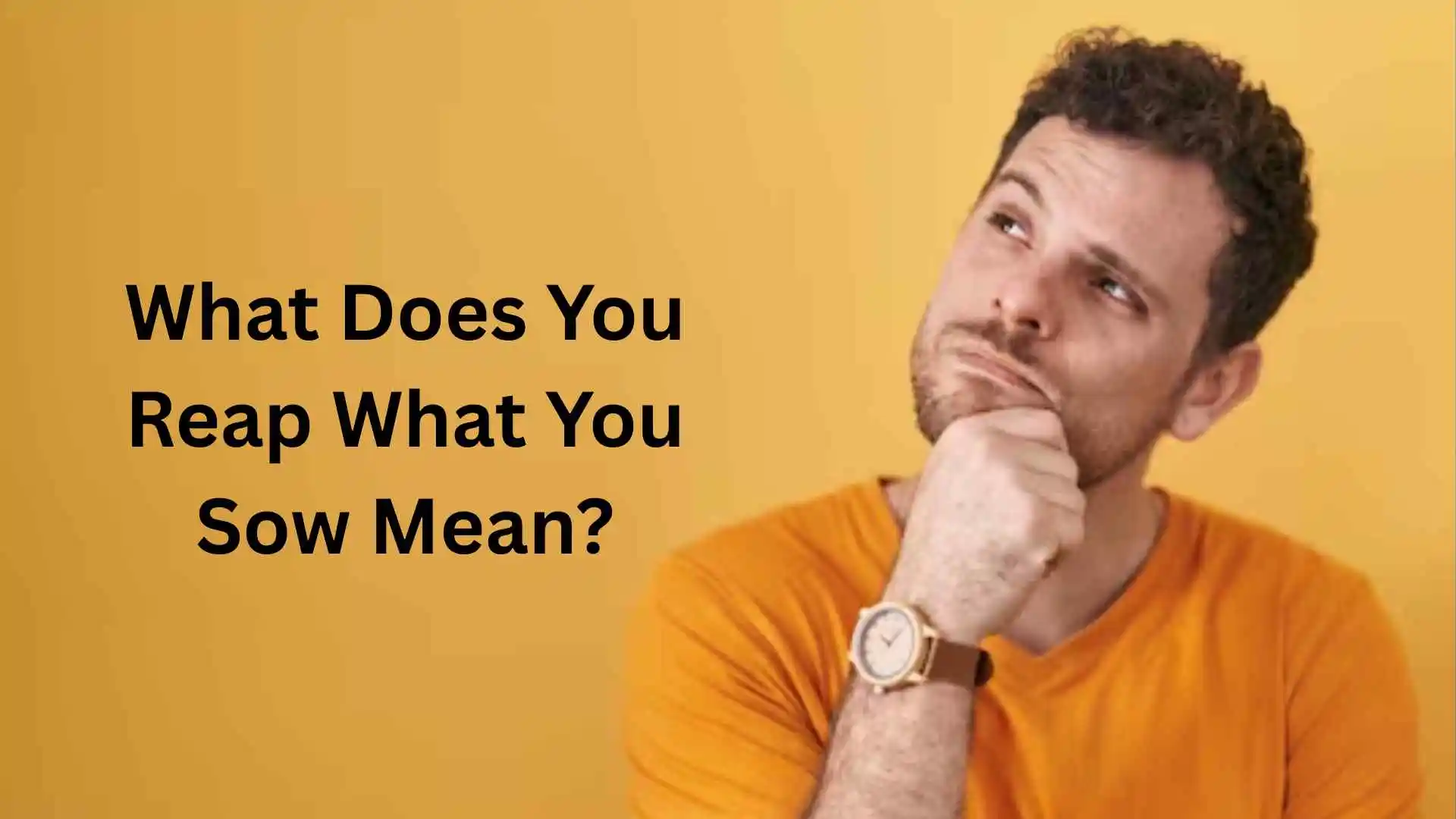 what does you reap what you sow mean