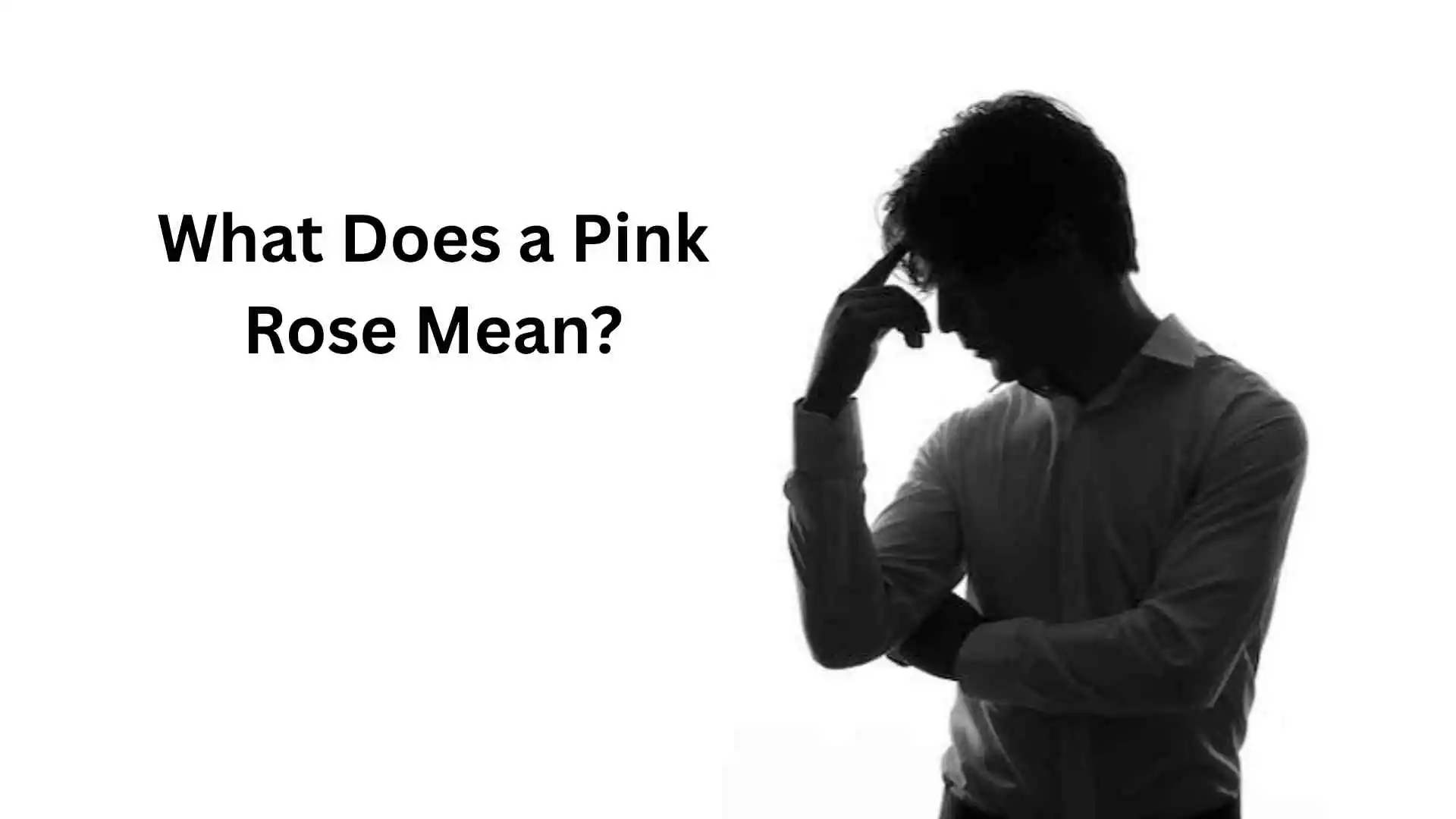 what does a pink rose mean
