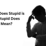 what does stupid is as stupid does mean