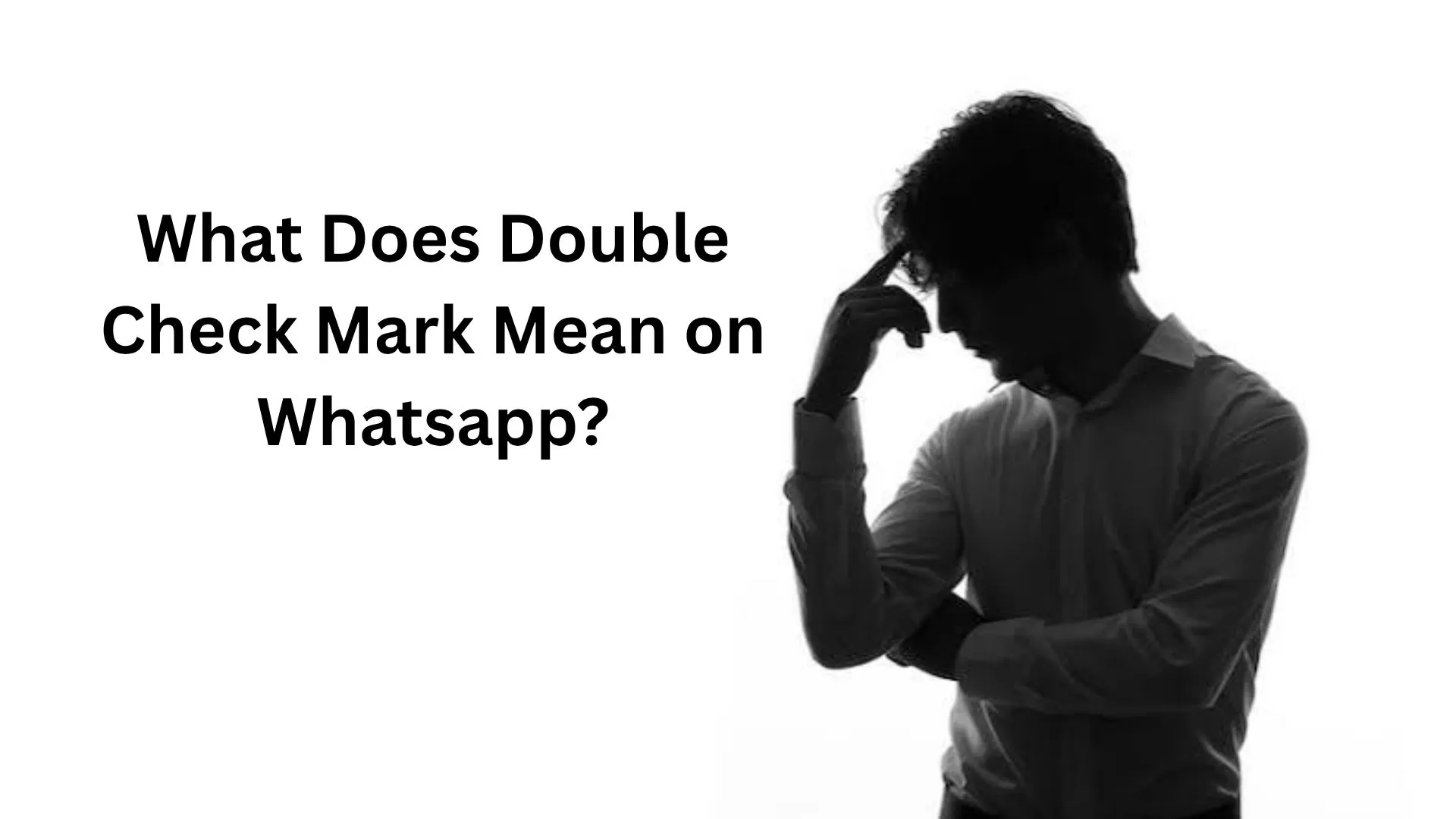 what does double check mark mean on whatsapp