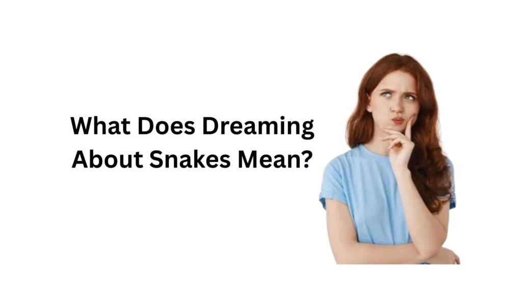 what does dreaming about snakes mean