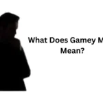 what does gamey meat mean