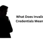 what does invalid credentials mean