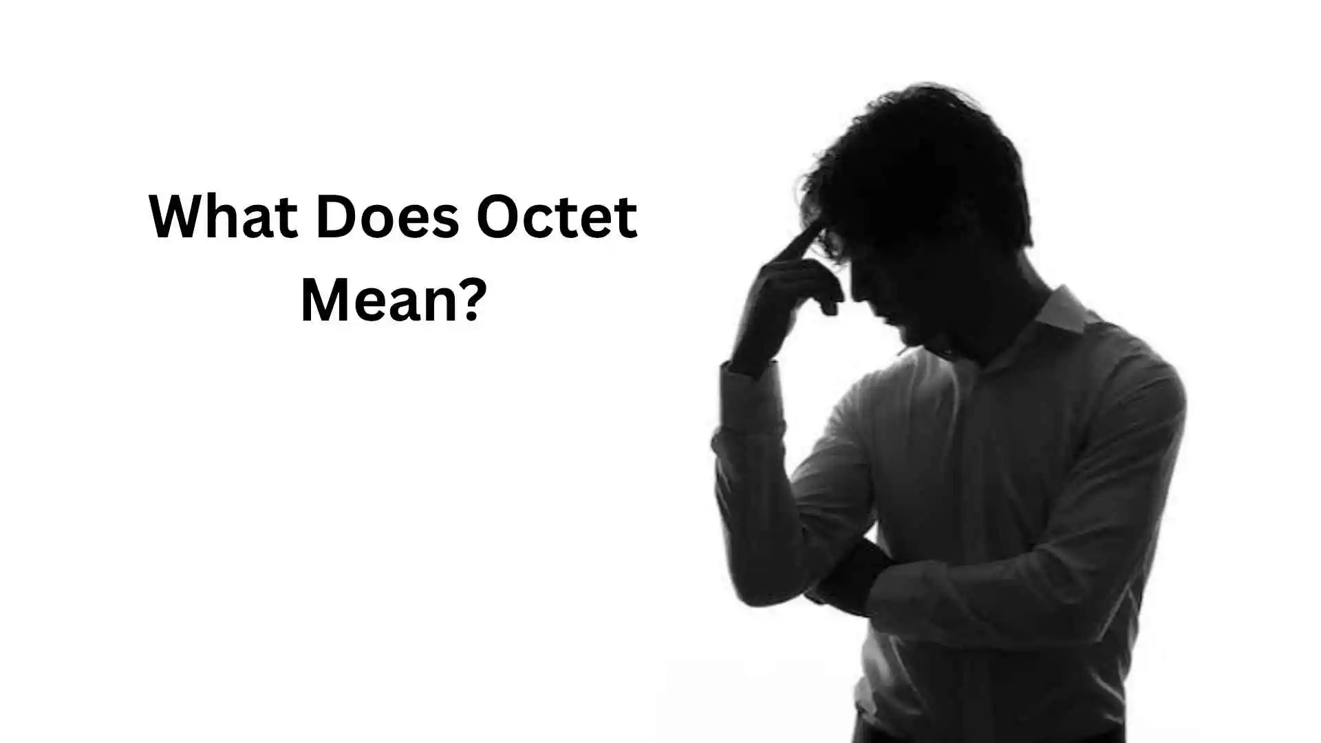 what does octet mean