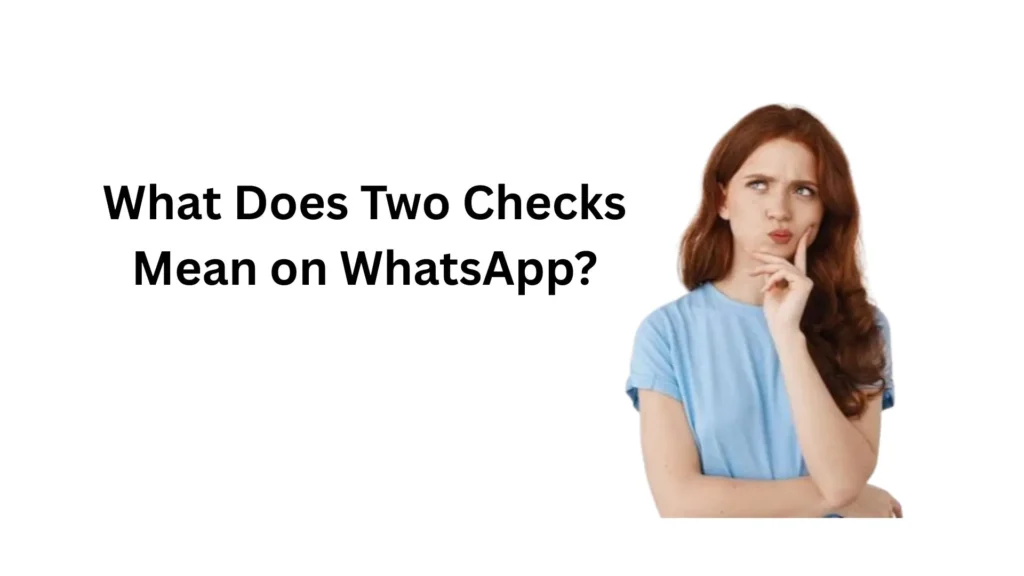 what does two checks mean on whatsapp