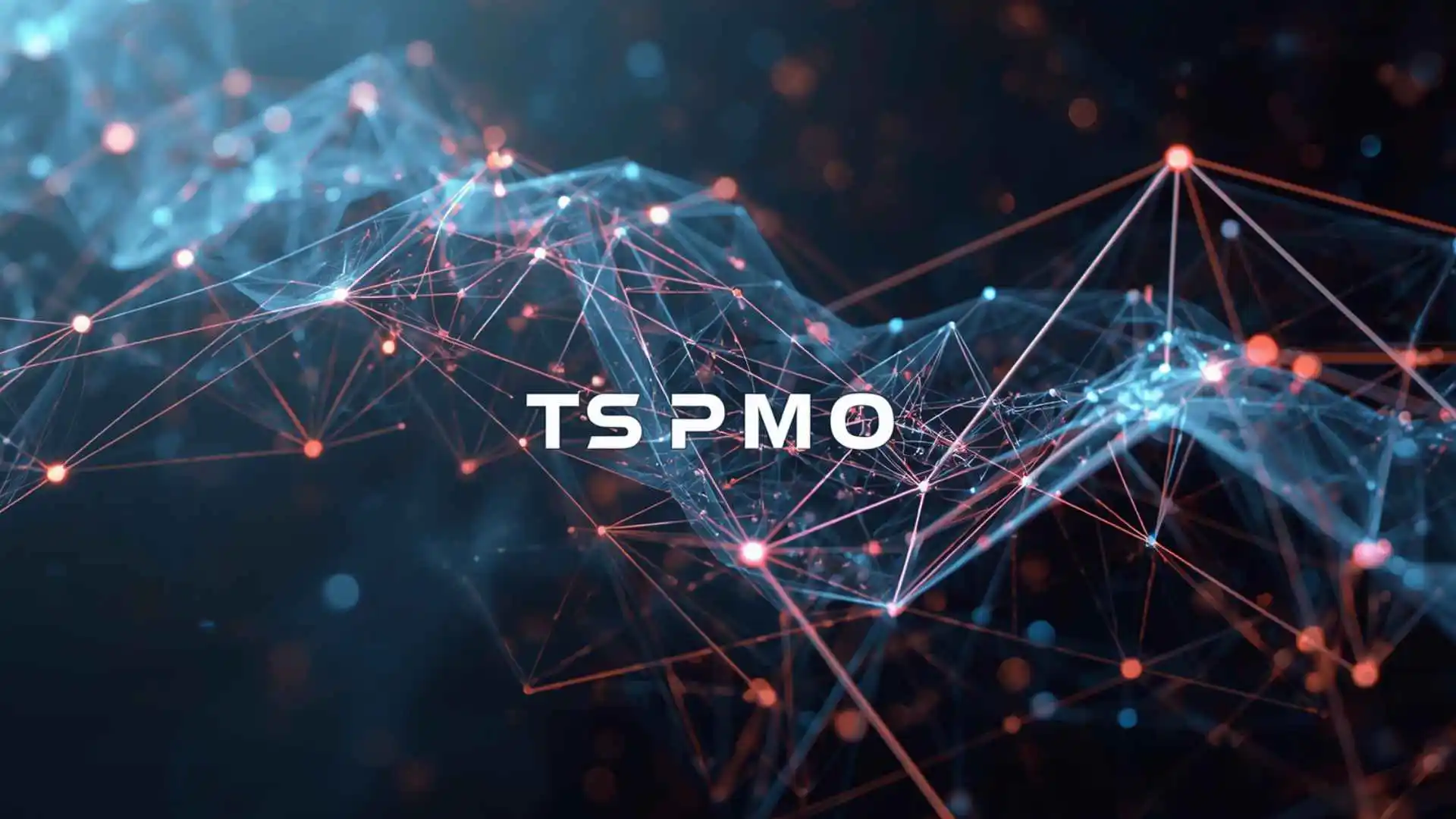 what does ts pmo mean